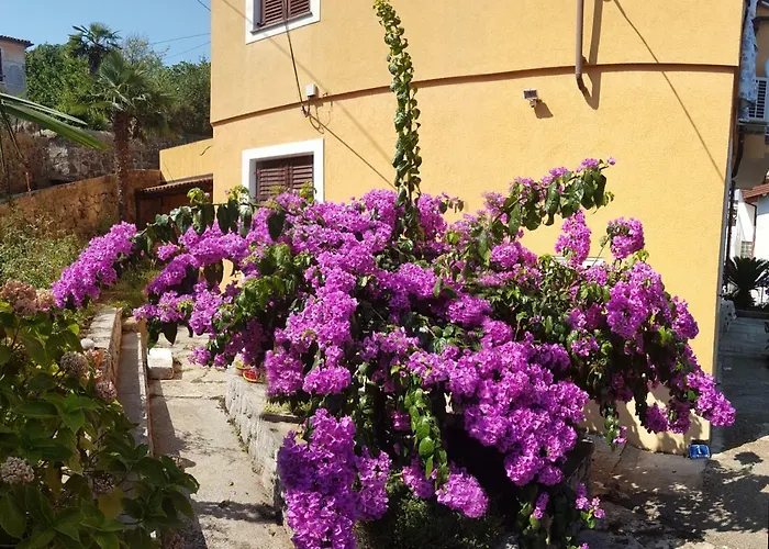 Sunrise オパティヤ