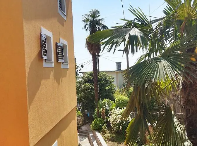 Sunrise 奥帕提亚